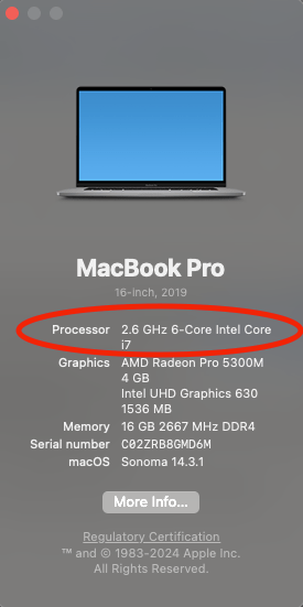 screenshot of what kind of computer do you have on a macbook